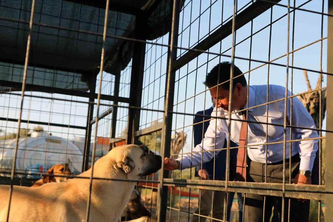 Türkiye’nin en donanımlı Hayvan Bakım Evleri’nden birini Muğla’ya kazandıran Büyükşehir