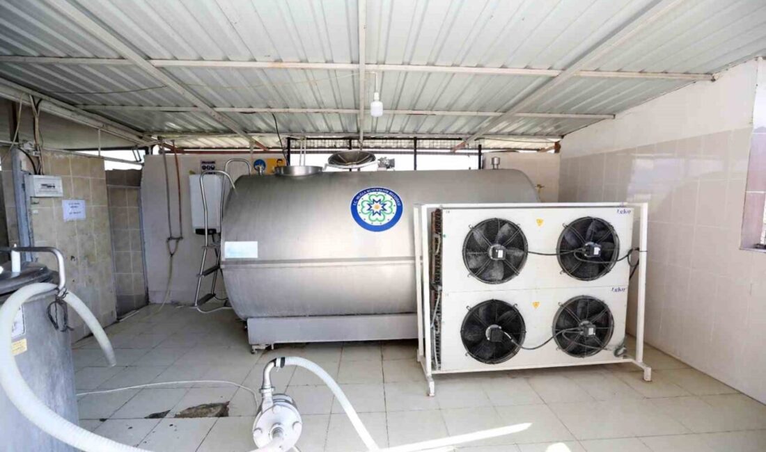 Muğla Büyükşehir Belediyesi tarafından başlatılan ve yapım ile uygulama süreçleri