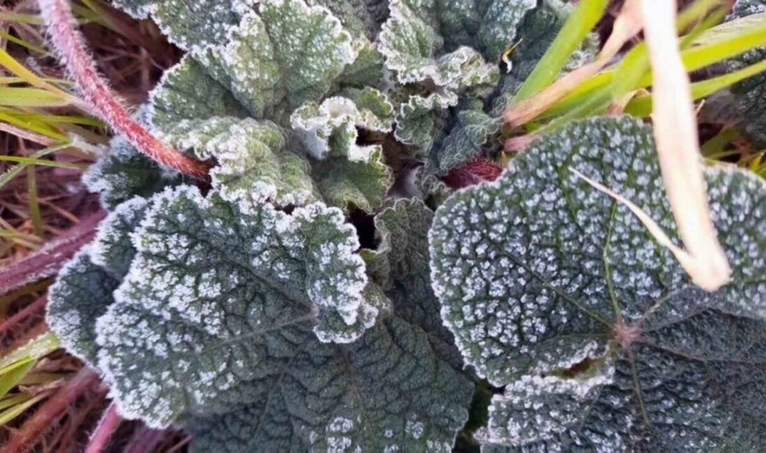 Meteoroloji Genel Müdürlüğü 4. Bölge Müdürlüğü Bölge Tahmin ve Uyarı