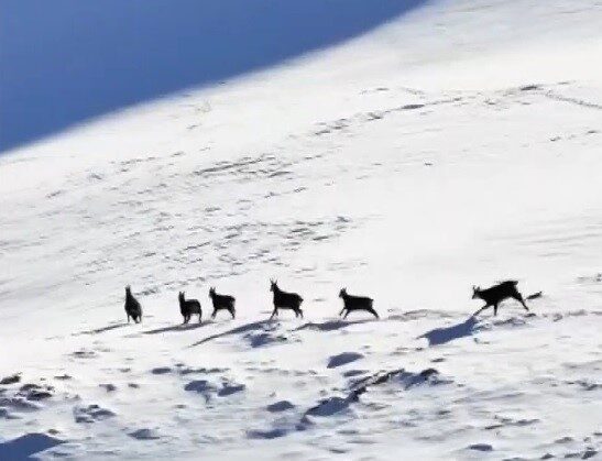 Erzincan ile Tunceli arasında uzanan ve 3 bin 300 rakıma