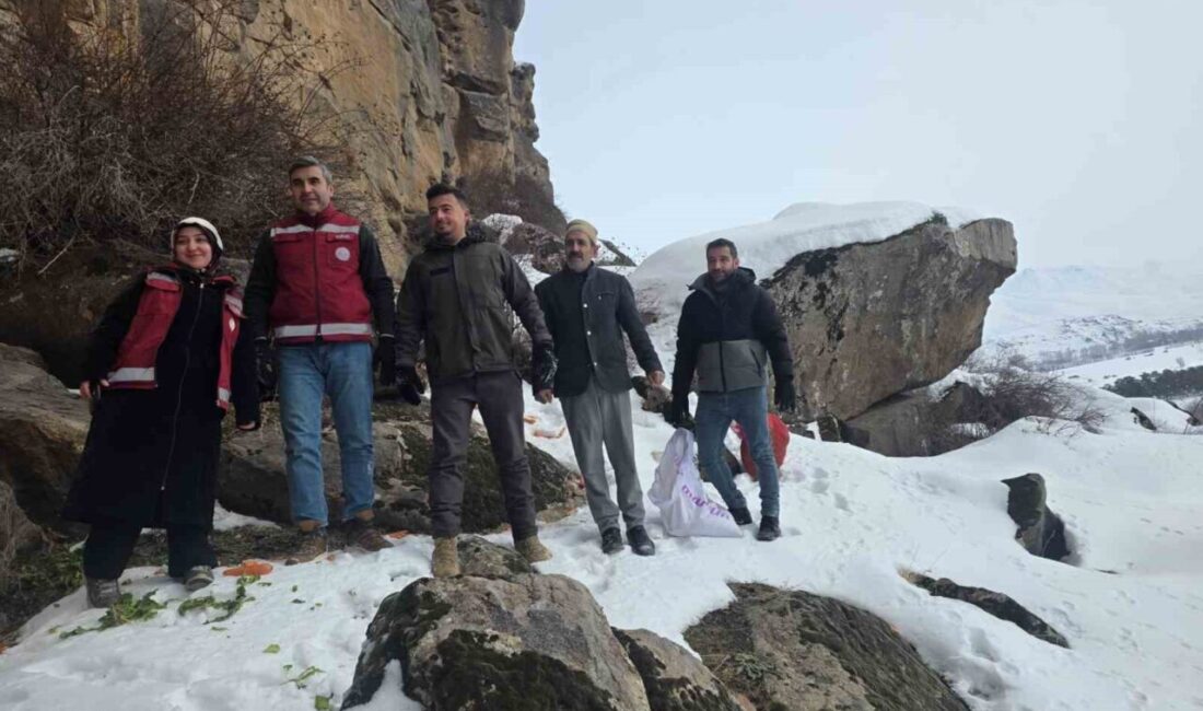 Van’ın Muradiye ilçesinde kış şartlarının ağırlaşmasıyla birlikte yaban hayvanlarının beslenme