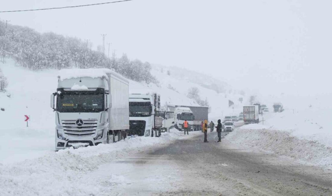 Muş-Bingöl kara yolunda etkili olan yoğun kar yağışı ve tipi