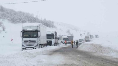 Muş-Bingöl kara yolunda etkili olan yoğun kar yağışı ve tipi