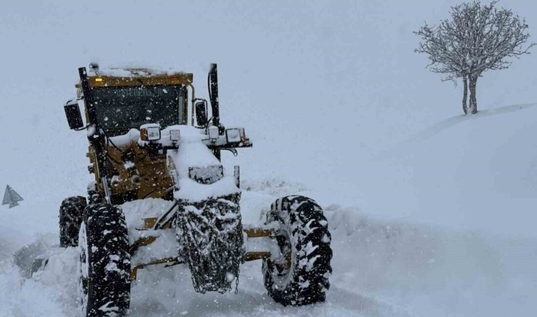 Muş’ta yoğun kar yağışı nedeniyle 176 köy yolu ulaşıma kapanırken,