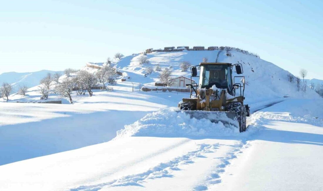 Muş’ta yoğun kar yağışı nedeniyle 181 köy yolu ulaşıma kapandı.