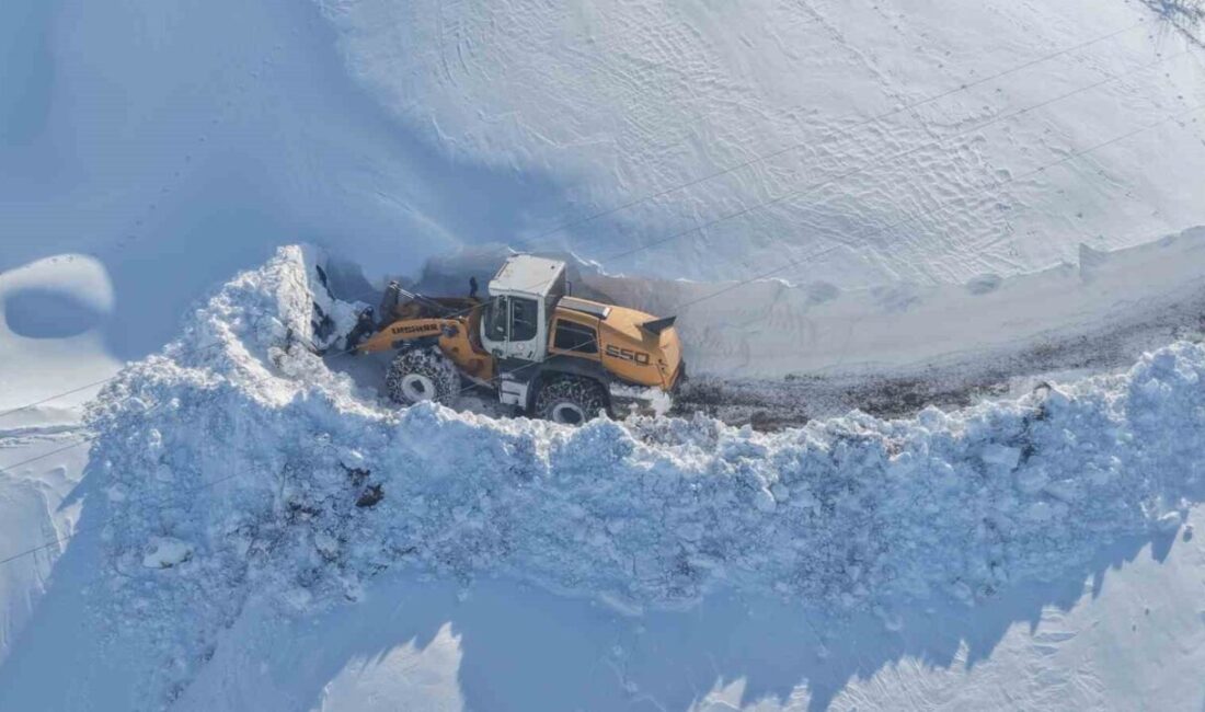 Muş’ta yoğun kar yağışı nedeniyle 51 köy yolu ulaşıma kapandı.