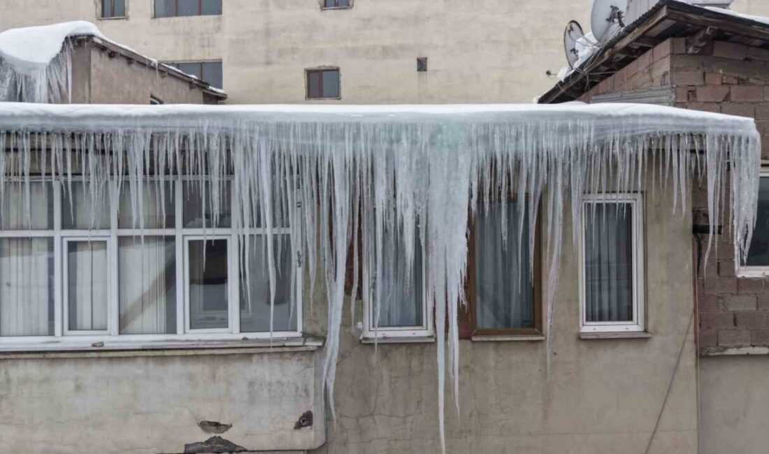 Muş’ta kar yağışının ardından etkisini artıran Sibirya soğukları nedeniyle ev
