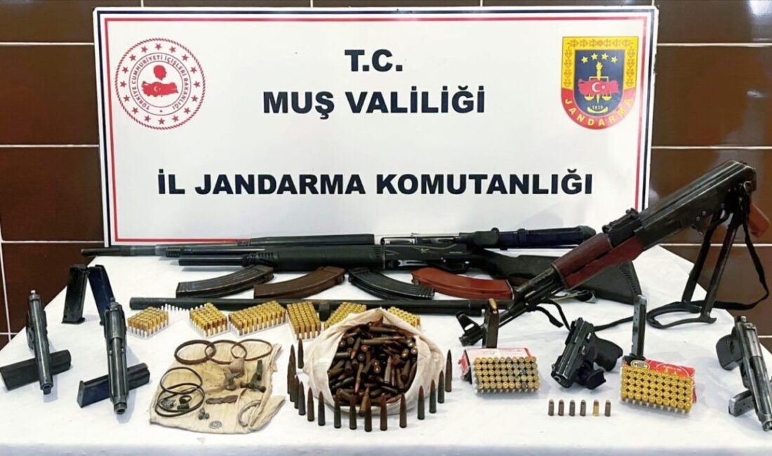 Muş’un Malazgirt ilçesinde jandarma ekiplerince düzenlenen operasyonda çok sayıda silah,