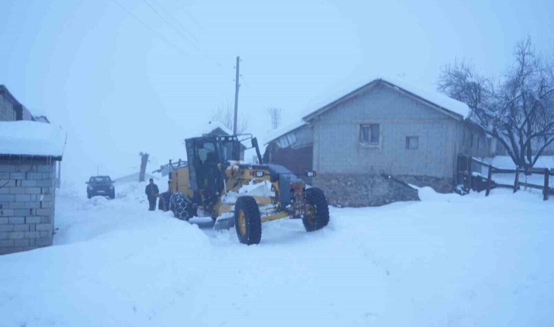 Muş genelinde etkili olan yoğun kar yağışı nedeniyle 142 köy