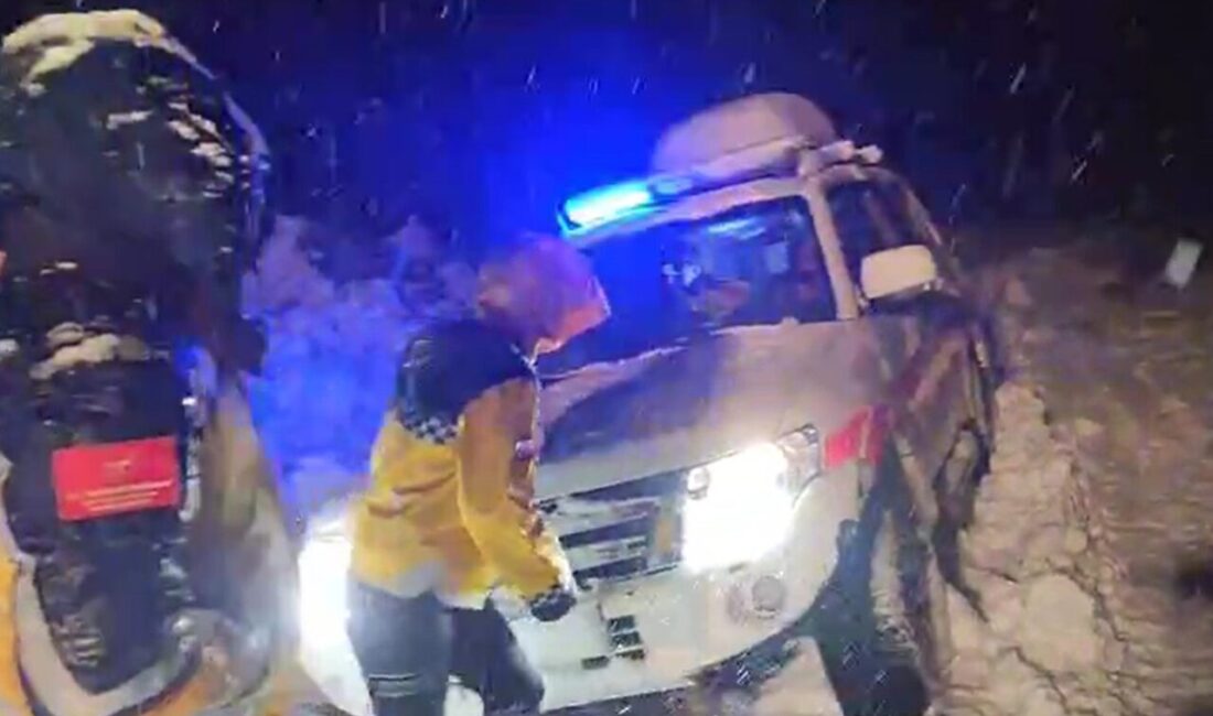 Muş’ta etkili olan yoğun kar yağışı nedeniyle yolu kapanan köyde