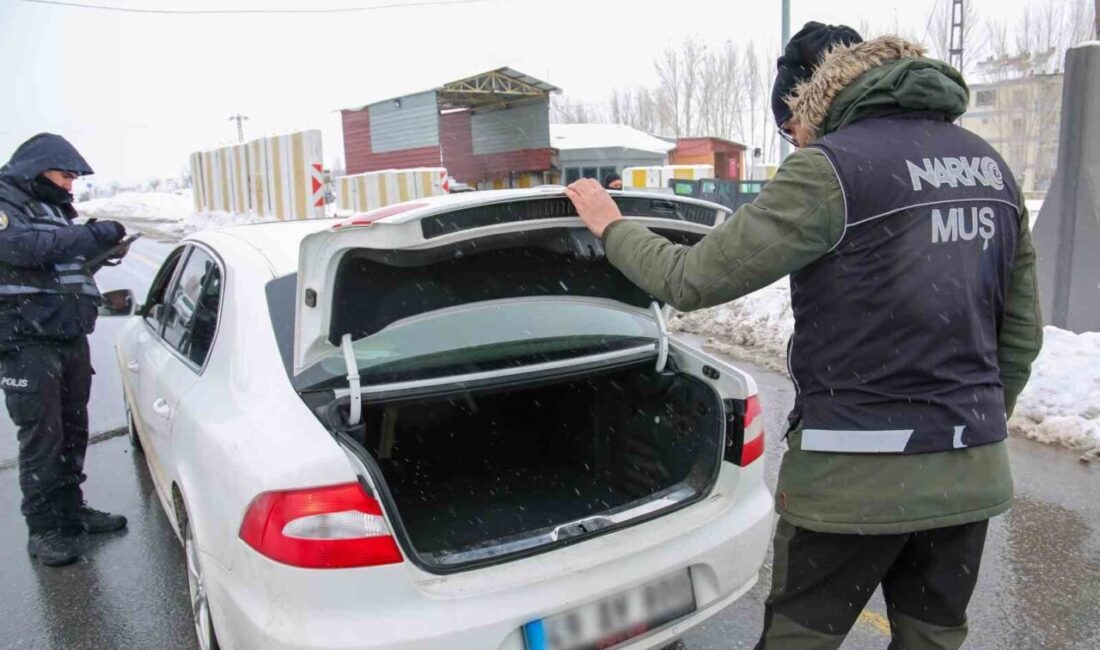 Muş’ta polis ekiplerince gerçekleştirilen denetimlerde 3 şahıs üzerinden sentetik kannabinoid