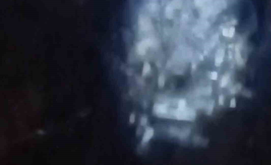 Muş’ta Karasu Nehri kıyısında su samuru görüldü. Doğal yaşamın nadir