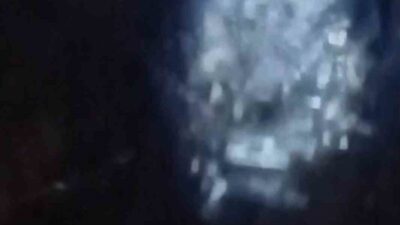 Muş’ta Karasu Nehri kıyısında su samuru görüldü. Doğal yaşamın nadir