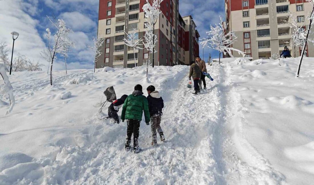 Muş genelinde etkili olması beklenen yoğun kar yağışı, buzlanma ve