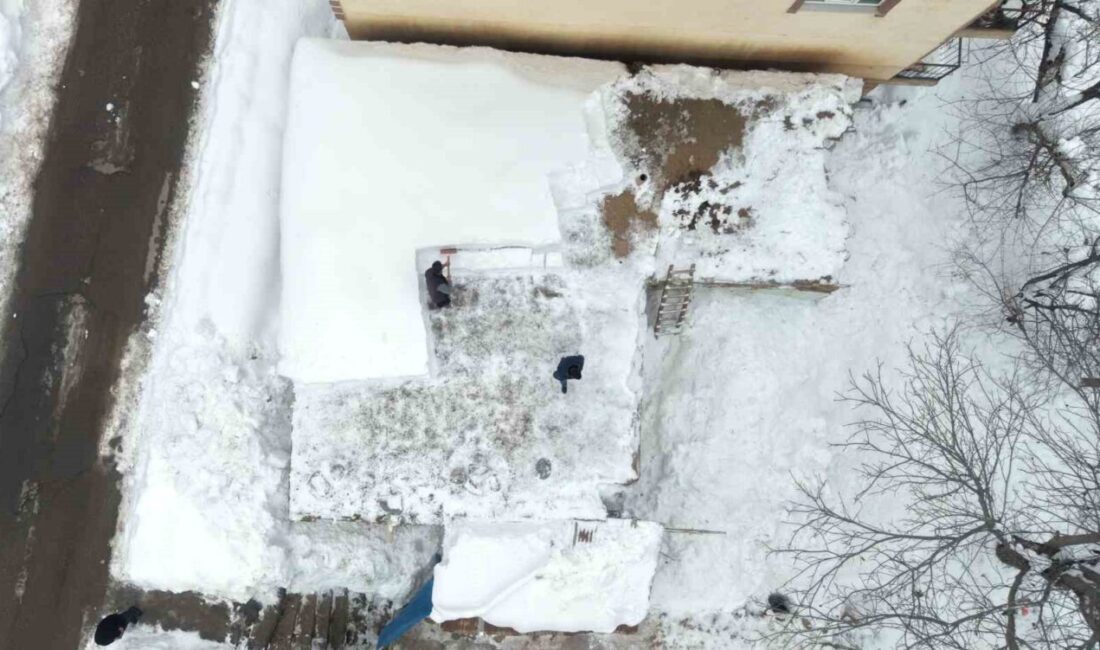 Muş’un Kale Mahallesi’nde etkili olan yoğun kar yağışı nedeniyle tek