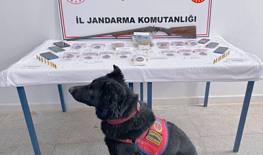 Muş İl Jandarma Komutanlığı ekiplerince merkez ve Hasköy ilçelerinde düzenlenen