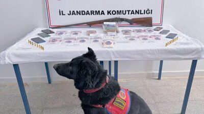 Muş İl Jandarma Komutanlığı ekiplerince merkez ve Hasköy ilçelerinde düzenlenen