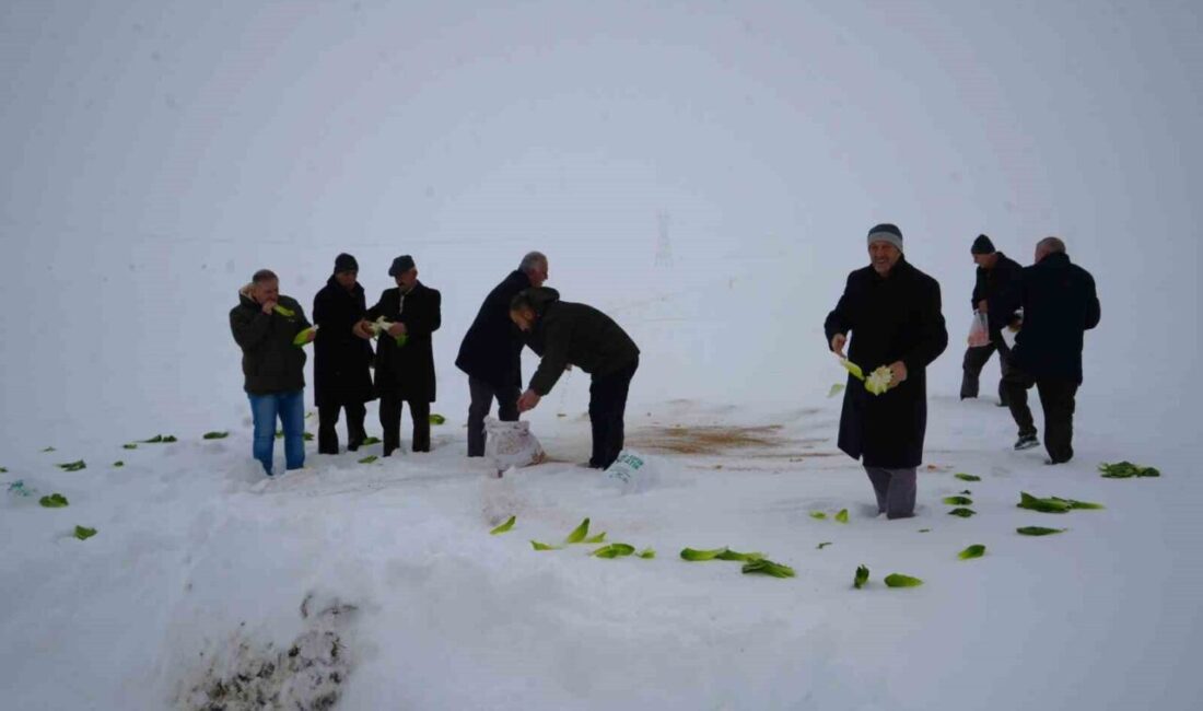 Muş’un Kırköy Belde Belediyesi, yoğun kar yağışı ve dondurucu soğuklar