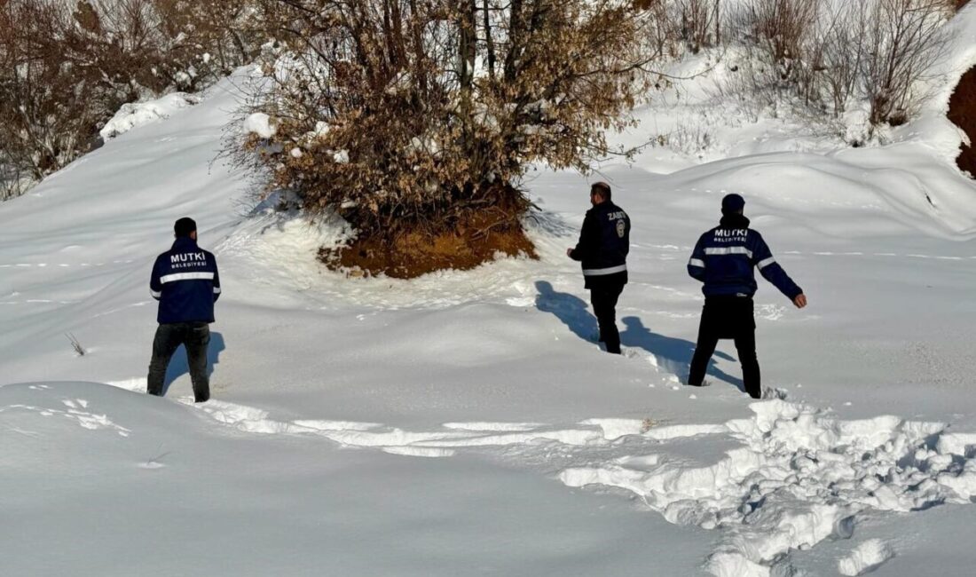 Bitlis’in Mutki ilçesinde etkili olan yoğun kar yağışı ve dondurucu