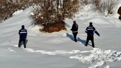 Bitlis’in Mutki ilçesinde etkili olan yoğun kar yağışı ve dondurucu