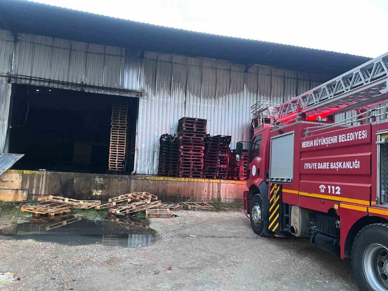 Mersin’de bir narenciye fabrikasının paketleme bölümüne yangın çıktı, çok sayıda