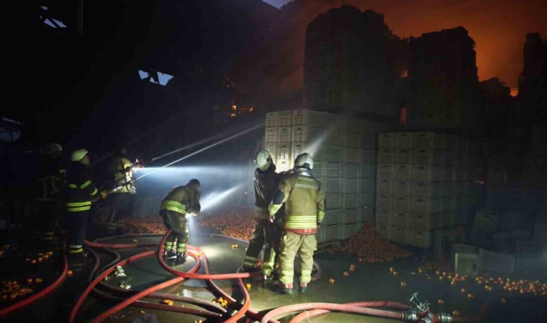 Hatay’ın Erzin ilçesinde narenciye paketleme fabrikasında çıkan yangında 60 işçi