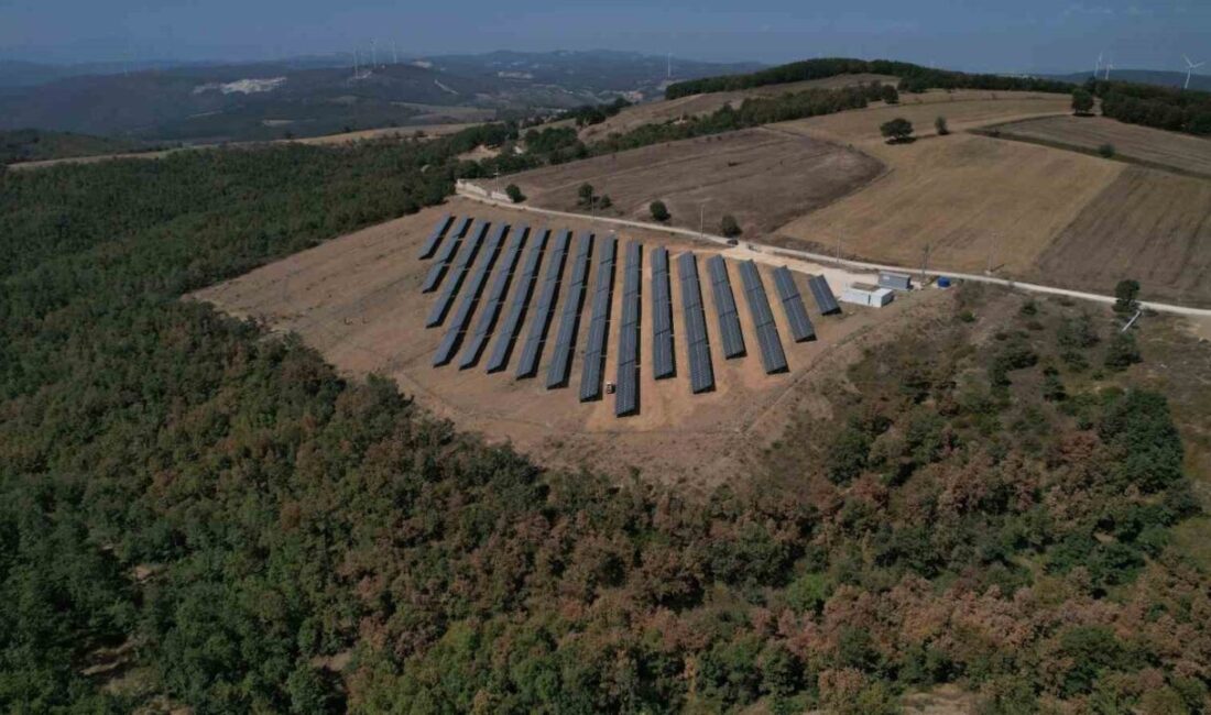 Güneş enerjisi yatırımlarıyla 2025’te 2.207 MW elektrik üreten Nilüfer Belediyesi,