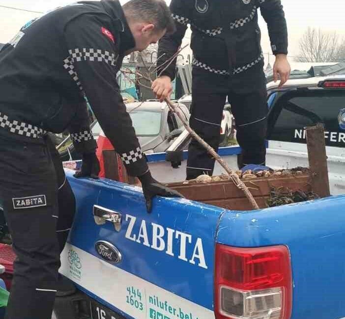 Nilüfer Belediyesi ekipleri; Esentepe ve Karaman mahalleleri ile Beşevler ve
