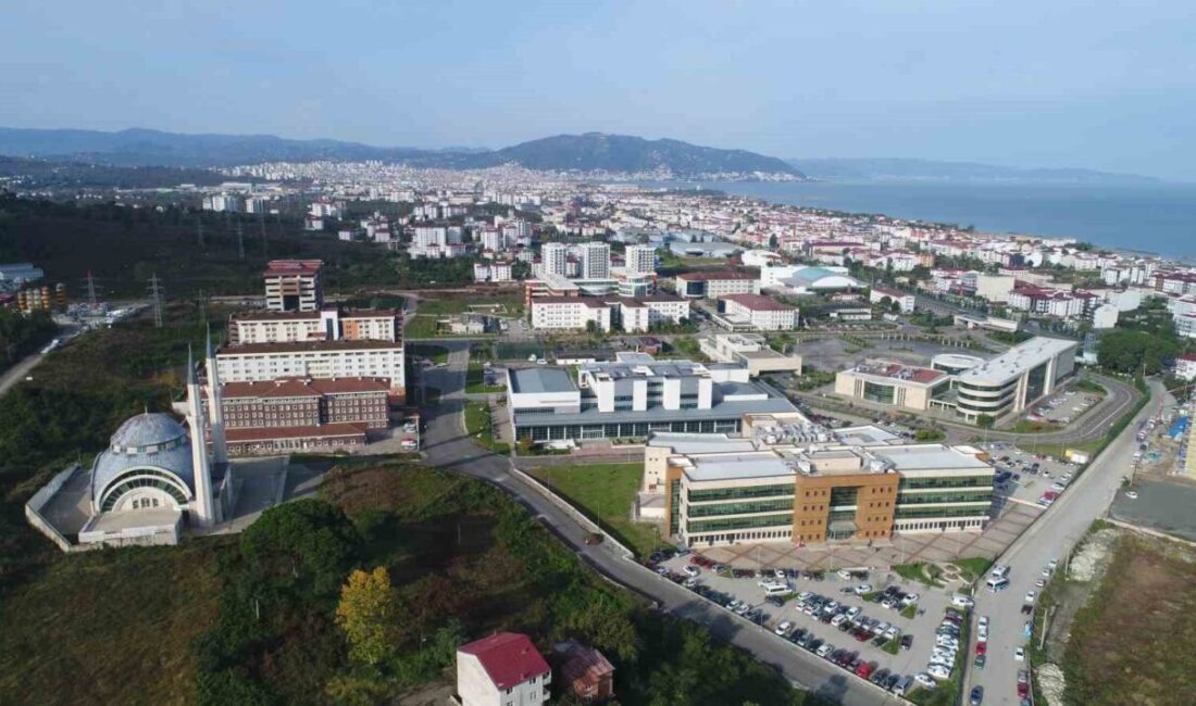 Ordu Üniversitesi (ODÜ), Times Higher Education (THE) 2026 Alan Bazlı