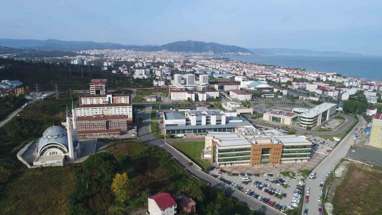 Ordu Üniversitesi (ODÜ), Times Higher Education (THE) 2026 Alan Bazlı