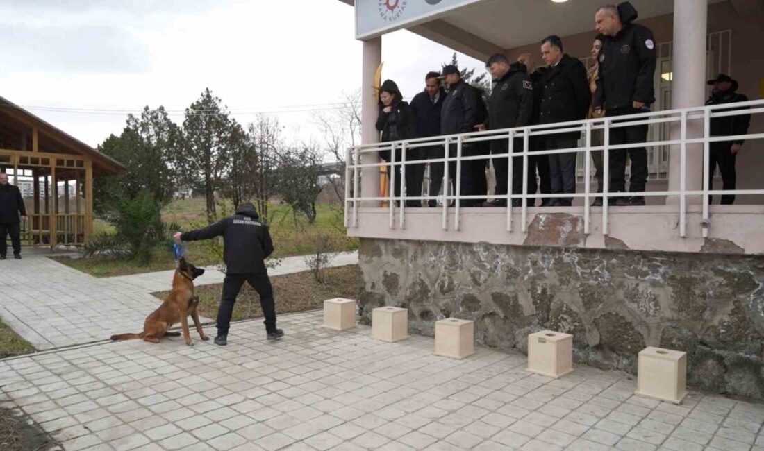 SAMSUN (İHA) – Ondokuz Mayıs Üniversitesi (OMÜ) Afet Eğitimi ve