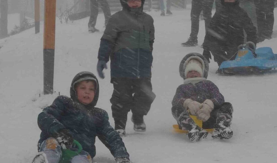 Ordu Valiliği, yoğun kar yağışı nedeniyle 16 ilçenin tamamında, 2