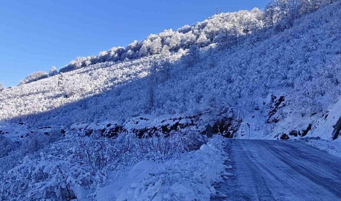 Ordu Valiliği, kar yağışı sonrası oluşan buzlanma nedeniyle 8 ilçenin