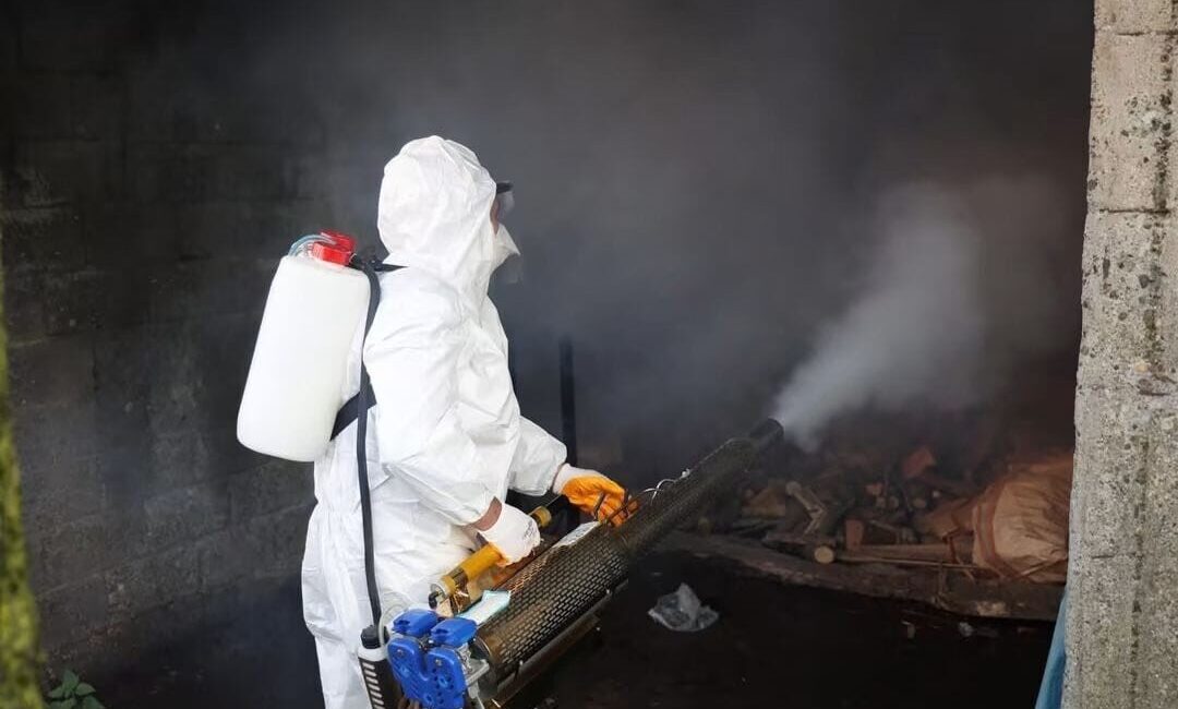 Ordu’da kahverengi kokarcaya karşı 300 binden fazla kışlağın ilaçlanması hedefleniyor.