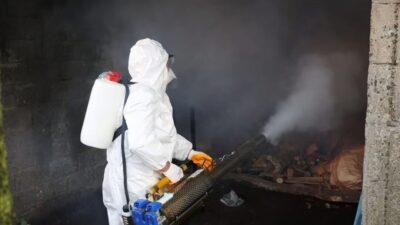 Ordu’da kahverengi kokarcaya karşı 300 binden fazla kışlağın ilaçlanması hedefleniyor.