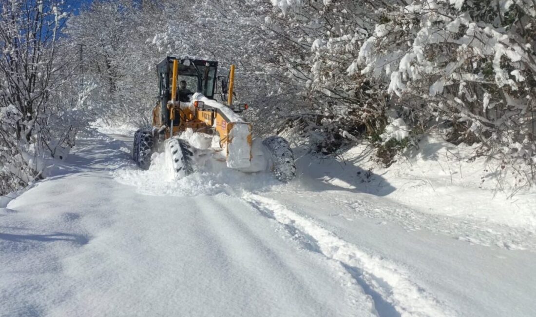 Ordu’da, Büyükşehir Belediyesi ekipleri tarafından yürütülen karla mücadele çalışmaları kapsamında