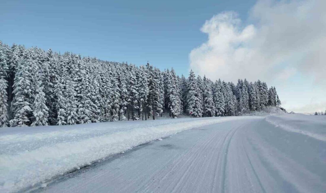 Ordu Valiliği, Kabadüz ilçesinden Çambaşı Yaylası’na ulaşım sağlayan yolda etkili