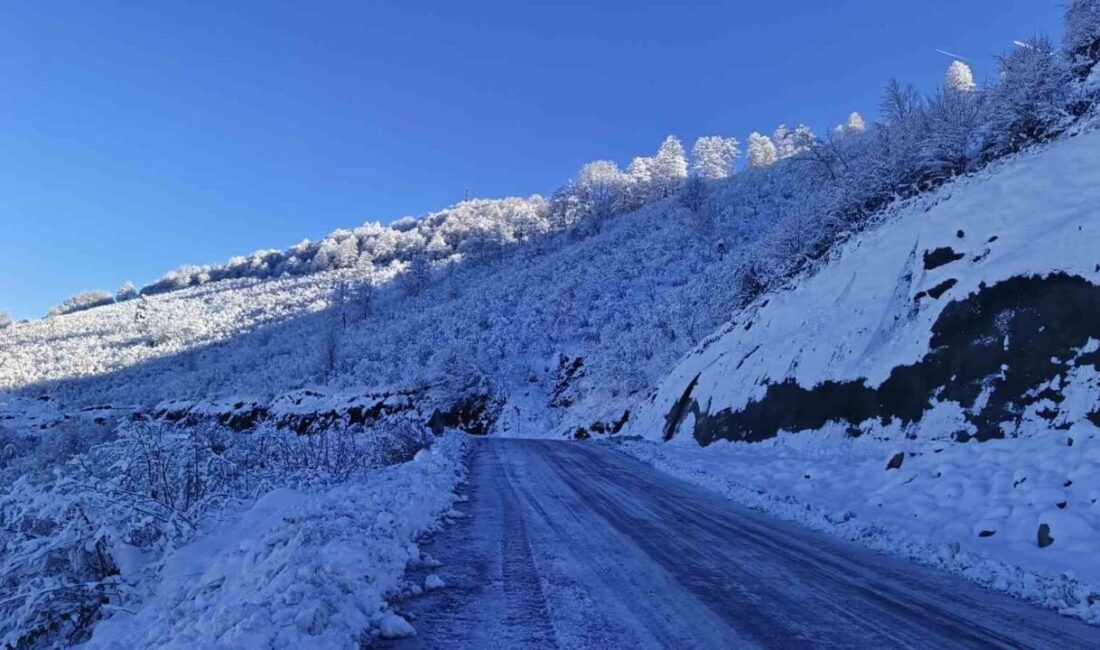 Ordu’nun 13 ilçesinde yoğun kar yağışı ve buzlanma nedeniyle eğitime