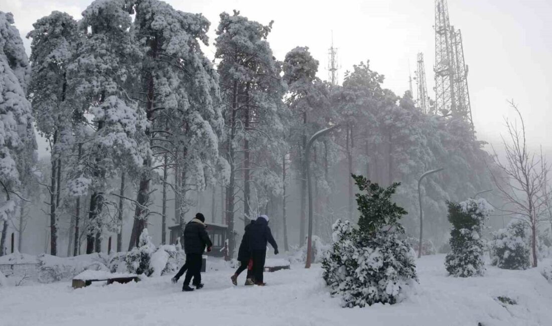 Ordu’nun ’seyir terası’ olarak adlandırılan ve denizden 530 metre yükseklikteki