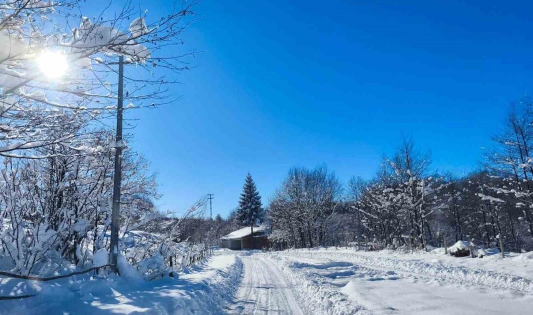 Ordu’nun yüksek kesimli bölgelerinde etkili olan kar yağışının ardından doyumsuz