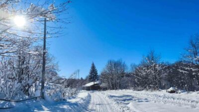 Ordu’nun yüksek kesimli bölgelerinde etkili olan kar yağışının ardından doyumsuz