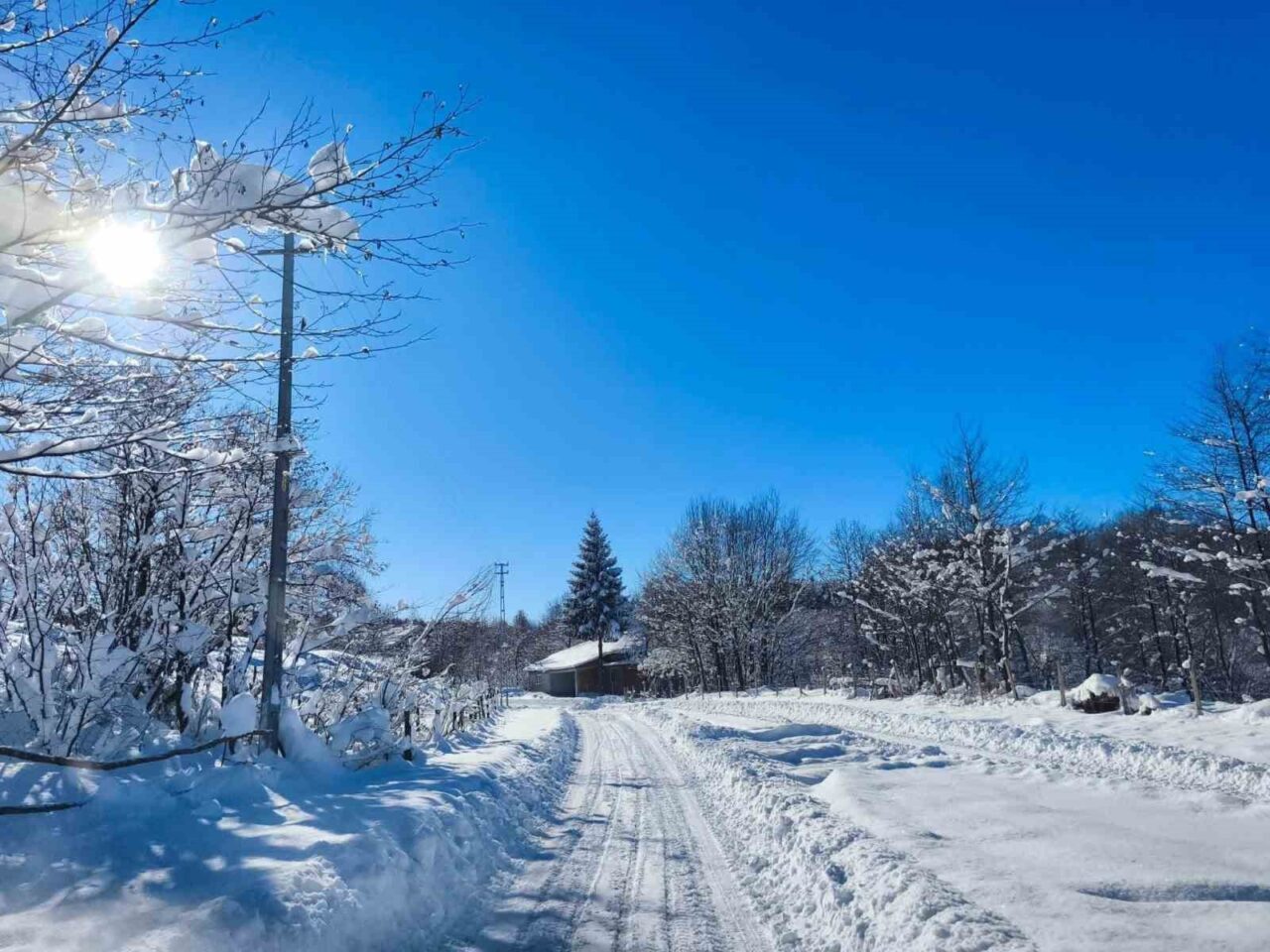 Ordu’nun yüksek kesimli bölgelerinde etkili olan kar yağışının ardından doyumsuz