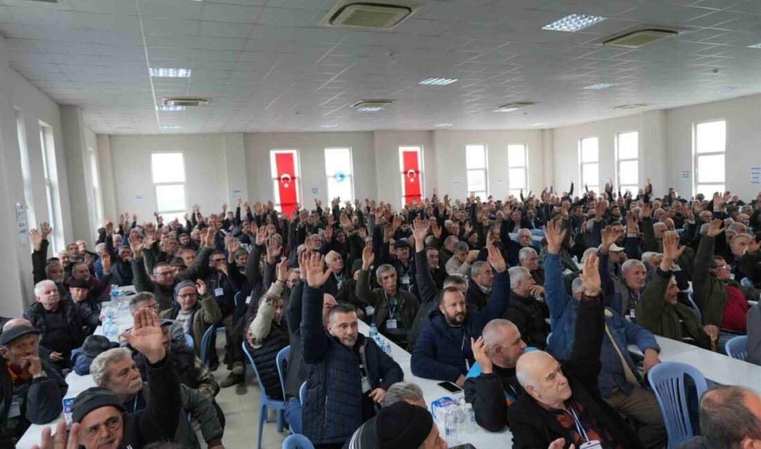 Marmarabirlik Orhangazi Zeytin Tarım Satış Kooperatifi Olağan Genel Kurulu’nda oyların