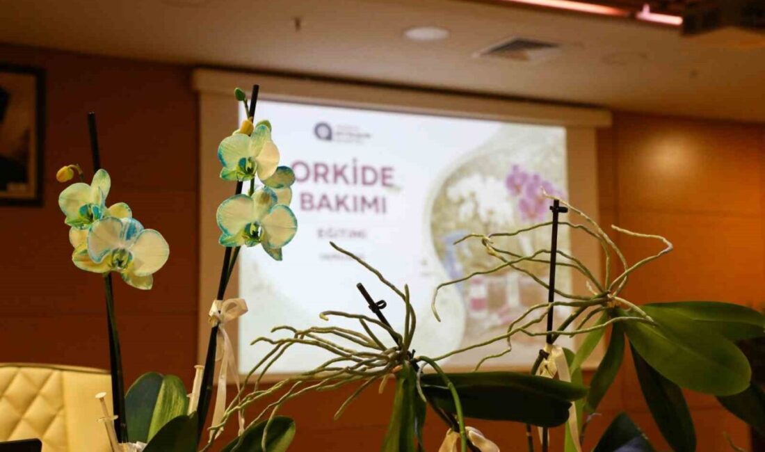 Antalya Büyükşehir Belediyesi Park ve Bahçeler Dairesi Başkanlığınca, orkide yetiştiriciliğine