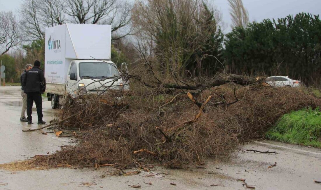 Osmangazi Belediyesi, Bursa’da sabah saatlerinden itibaren etkisini artıran lodos ve