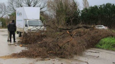 Osmangazi Belediyesi, Bursa’da sabah saatlerinden itibaren etkisini artıran lodos ve