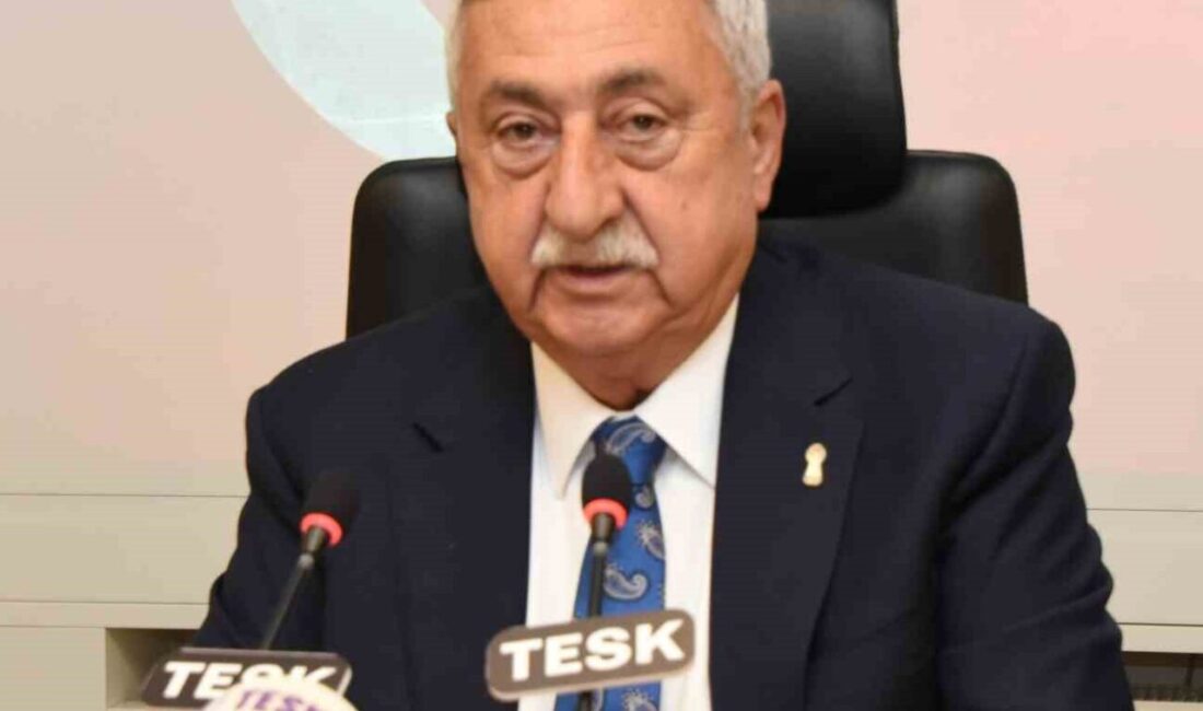 Türkiye Esnaf ve Sanatkarları Konfederasyonu (TESK) Genel Başkanı Bendevi Palandöken,