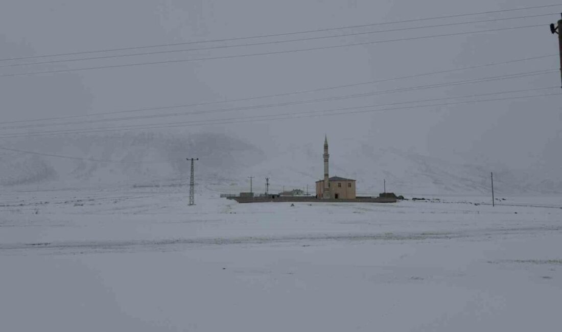 Iğdır-Doğubayazıt karayolunun 18. kilometresinde bulunan Pamuk Geçidi’nde etkili olan kar