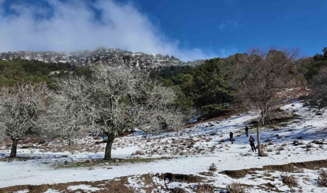 Aydın’ın Efeler ilçesinde bin 600 rakımda bulunan Paşa Yaylası’nda etkili