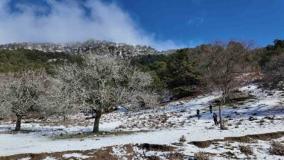 Aydın’ın Efeler ilçesinde bin 600 rakımda bulunan Paşa Yaylası’nda etkili